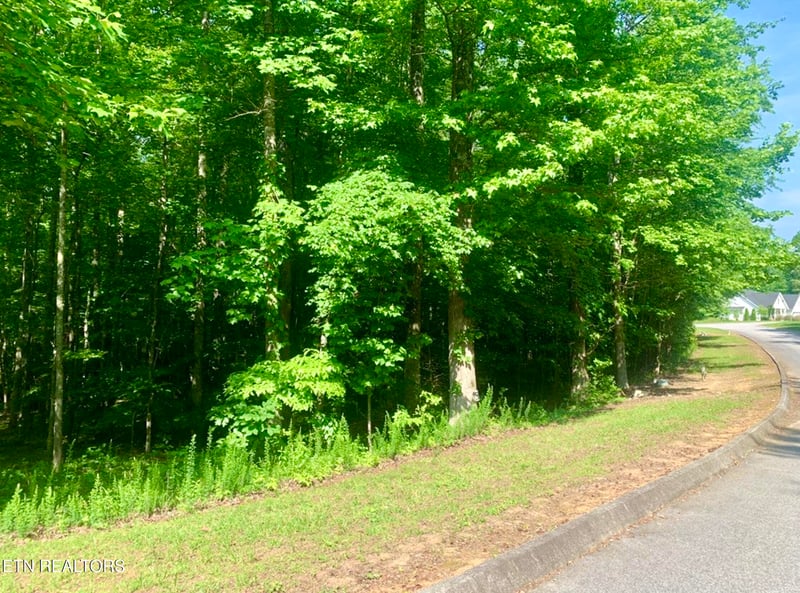 0 Blue Heron Dr, Harriman, TN 37748