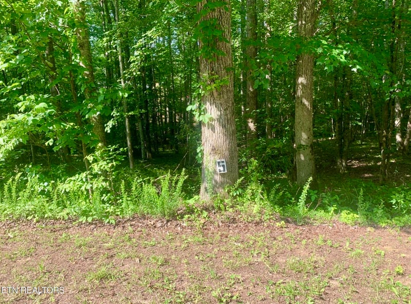 0 Blue Heron Dr, Harriman, TN 37748