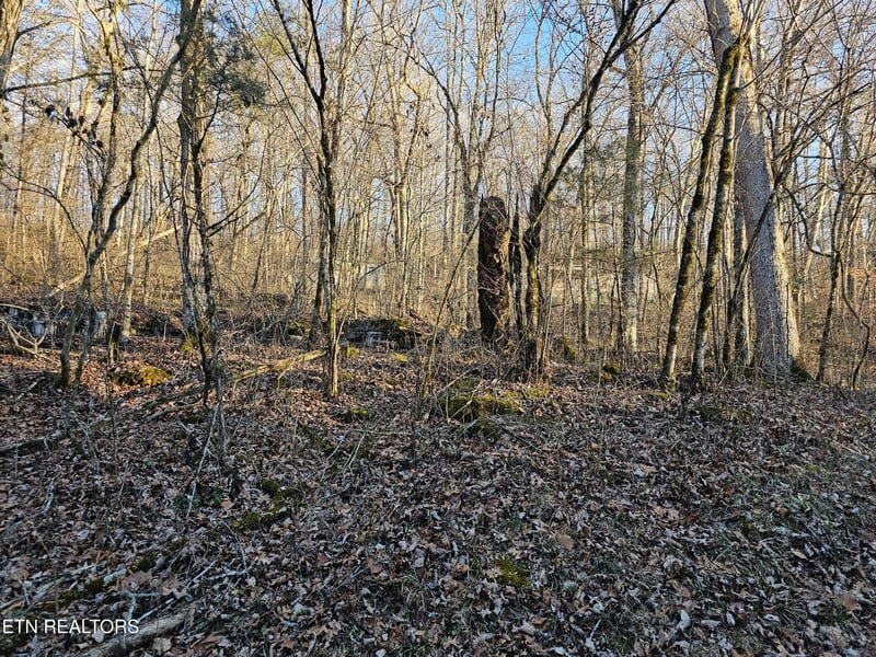 0 Blue Springs Rd, Speedwell, TN 37870