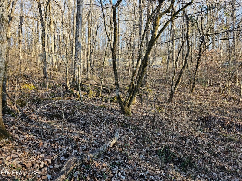 0 Blue Springs Rd, Speedwell, TN 37870