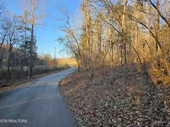 0 Blue Springs Rd, Speedwell, TN 37870