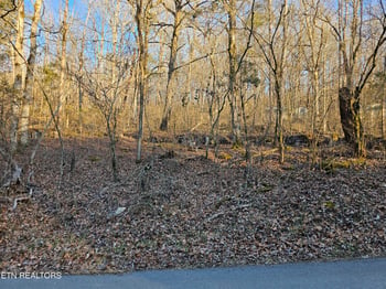 0 Blue Springs Rd, Speedwell, TN 37870