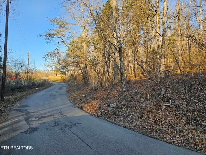 0 Blue Springs Rd, Speedwell, TN 37870