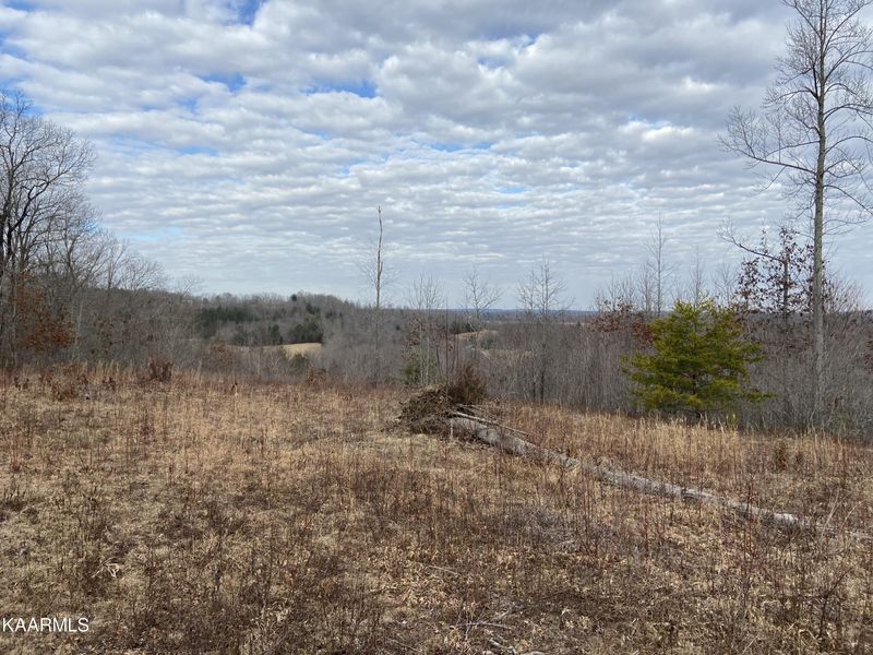 0 Blueberry Hill, Lancing, TN 37770