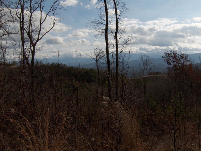 0 Blueberry Hill Tr, Pigeon Forge, TN 37862