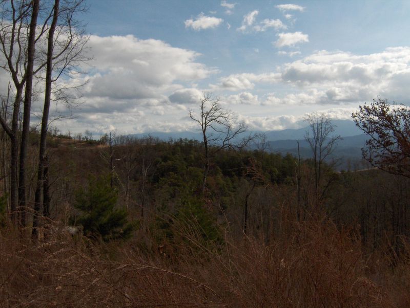 0 Blueberry Hill Tr, Pigeon Forge, TN 37862