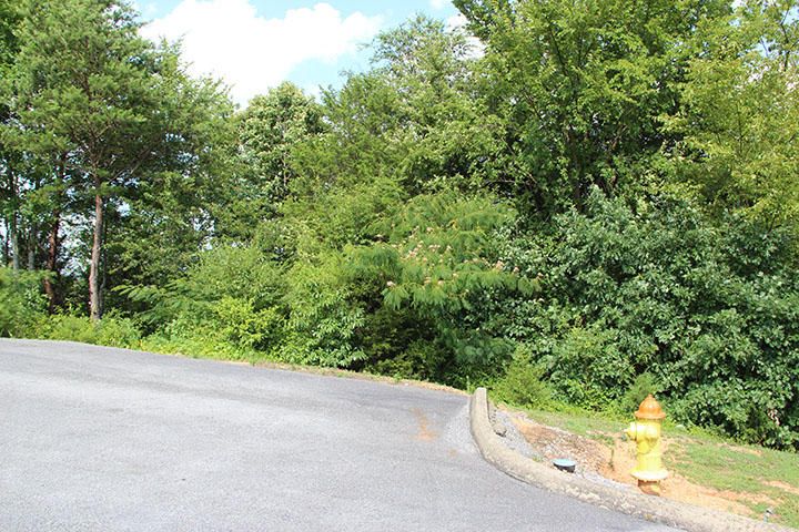 0 Blueberry Ridge Way, Pigeon Forge, TN 37863