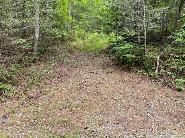 0 Bluestone Way, Townsend, TN 37882