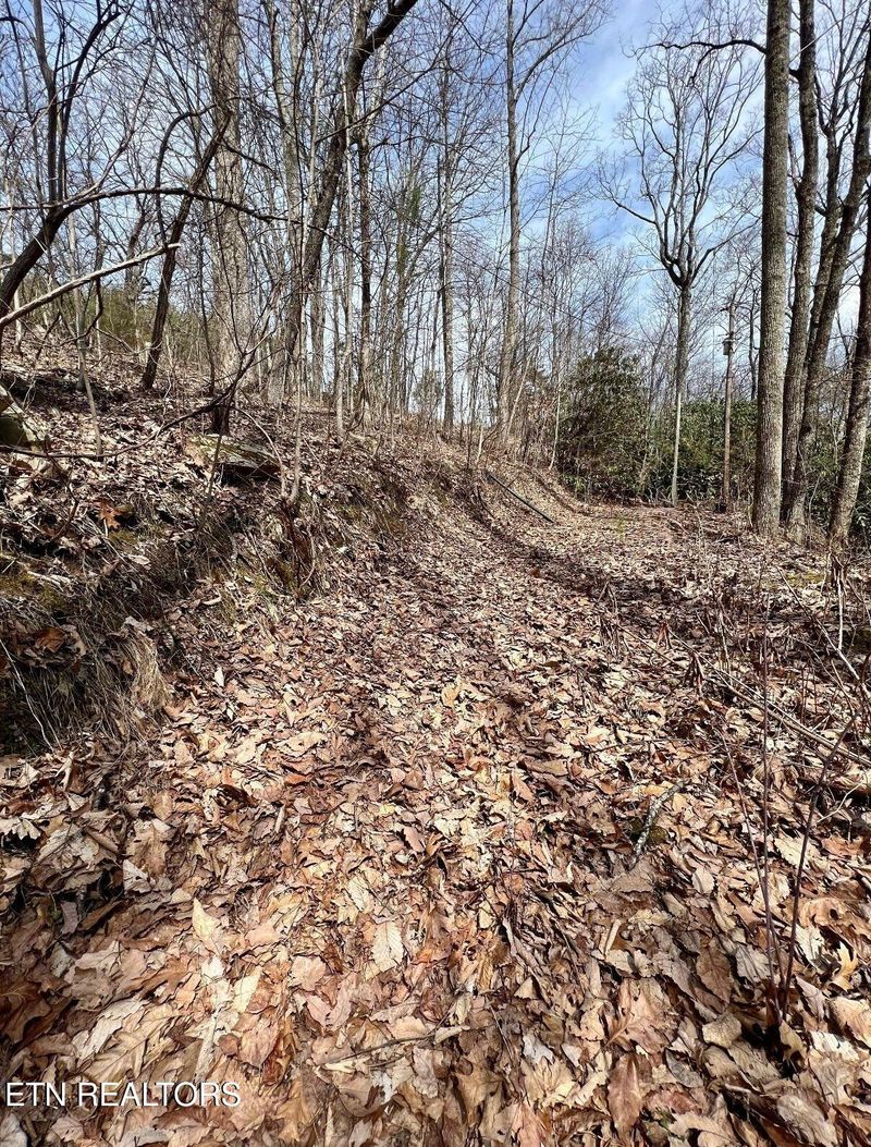 0 Bluff Mountain Rd, Sevierville, TN 37862