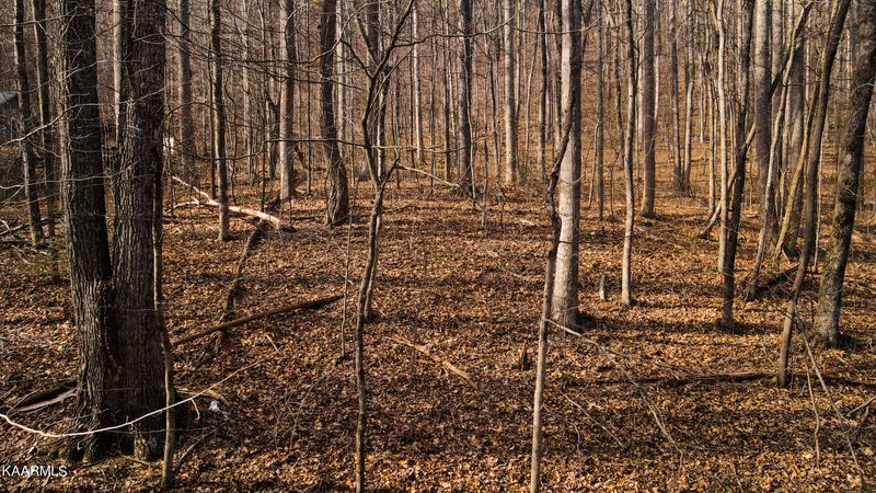 0 Bluff Mountain Rd, Sevierville, TN 37876