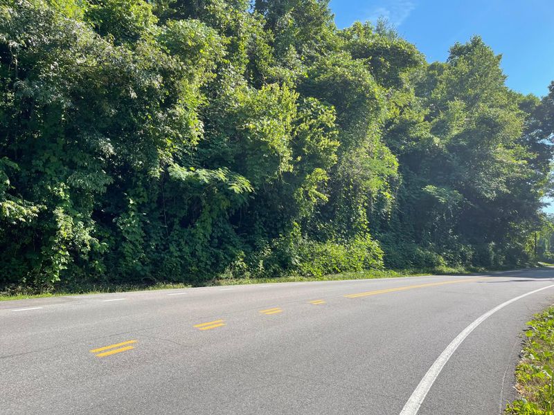 0 Bluff Rd, Kingston, TN 37763