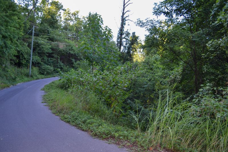 0 Bluff Ridge Rd, Sevierville, TN 37876