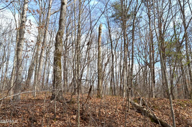 0 Bluff View Dr, Crossville, TN 38571