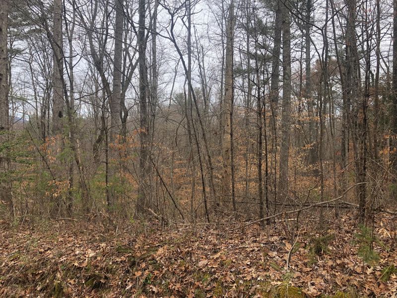 0 Bob Armes, Wartburg, TN 37887