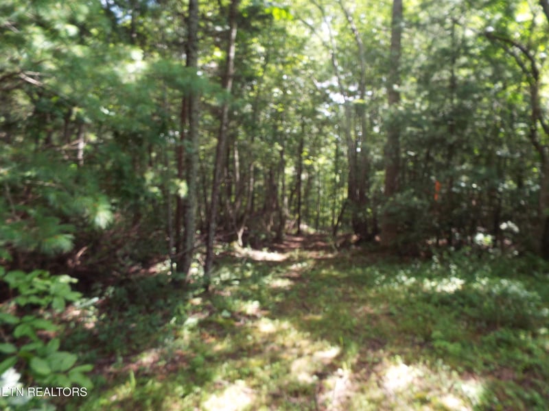 0 Bob Tollett Loop, Crossville, TN 38555