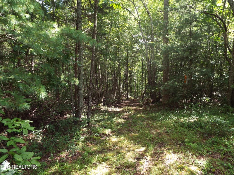 0 Bob Tollett Loop, Crossville, TN 38555