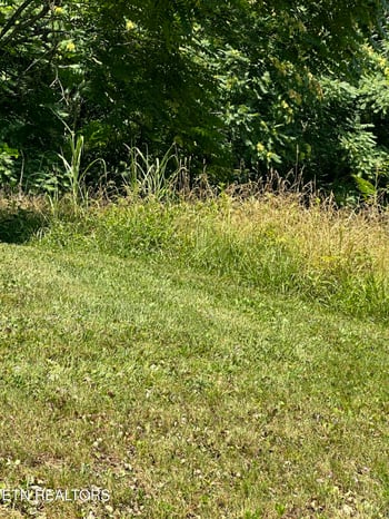 0 Bob Wright Lot 32 Rd, Maynardville, TN 37807