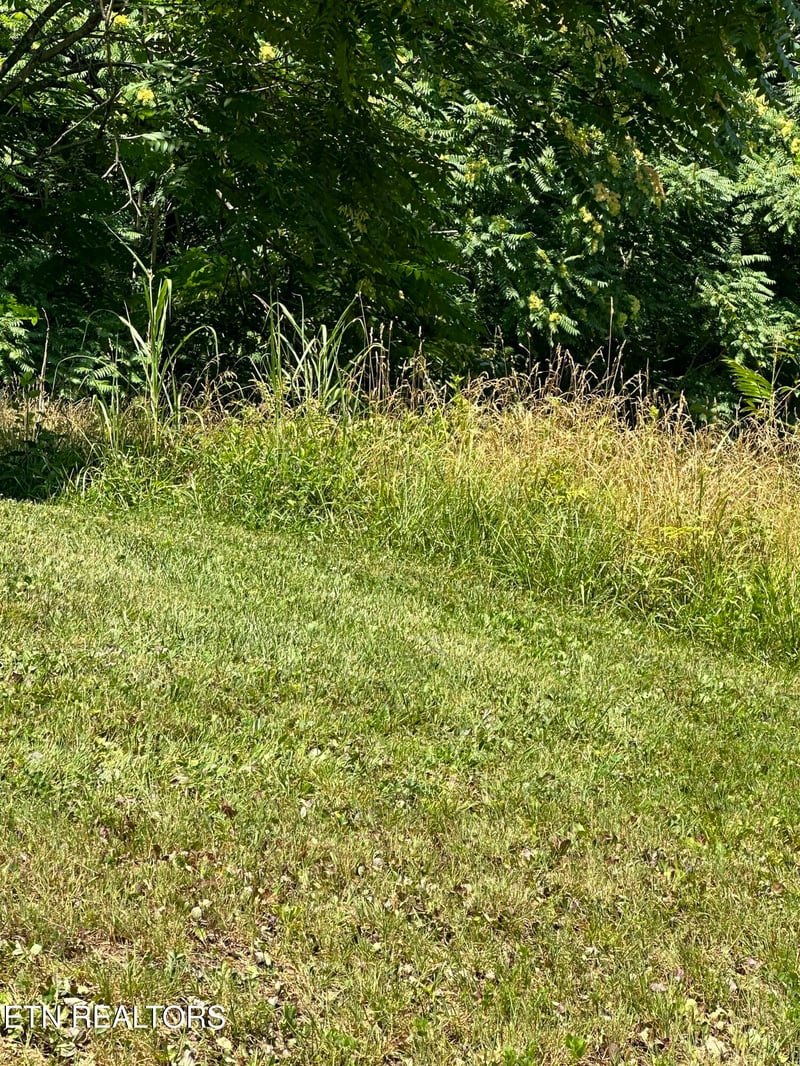 0 Bob Wright Lot 32 Rd, Maynardville, TN 37807