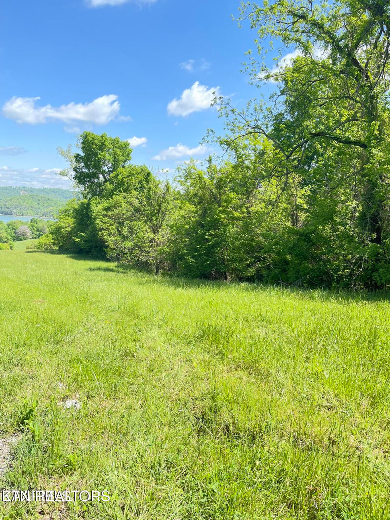 0 Bob Wright Rd Lot 17, Maynardville, TN 37807