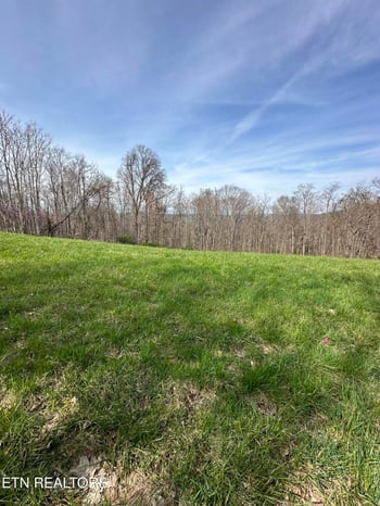 0 Bob Wright Rd Lot 41, Maynardville, TN 37807