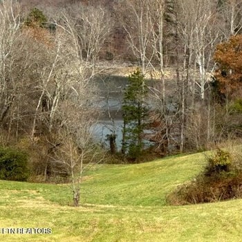 0 Bob Wright Rd, Maynardville, TN 37807