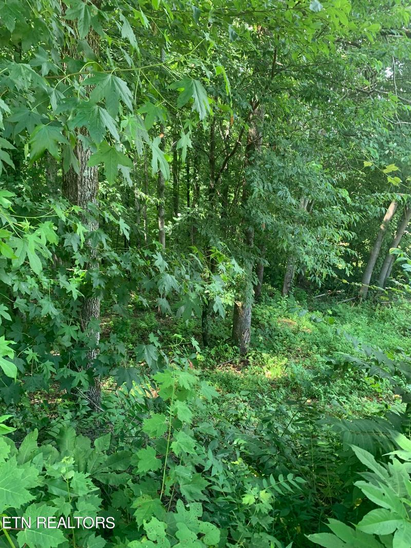 0 Bobcat Tr, Caryville, TN 37714