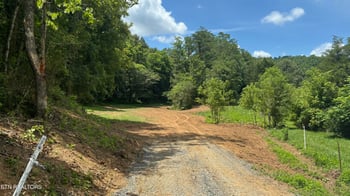 0 Bogard Rd, Cosby, TN 37722