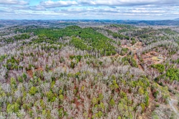 0 Boiling Springs Rd, Vonore, TN 37885