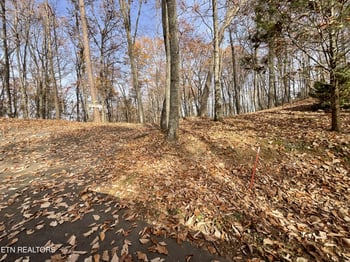 0 Boogertown Rd, Sevierville, TN 37876