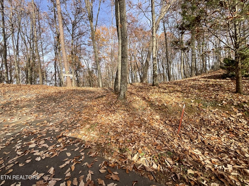 0 Boogertown Rd, Sevierville, TN 37876