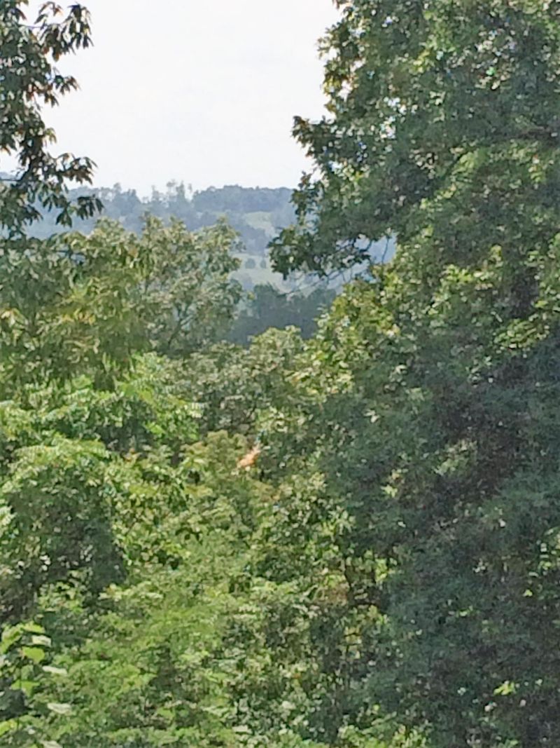 0 Booker Lot 12 Rd, Maynardville, TN 37807