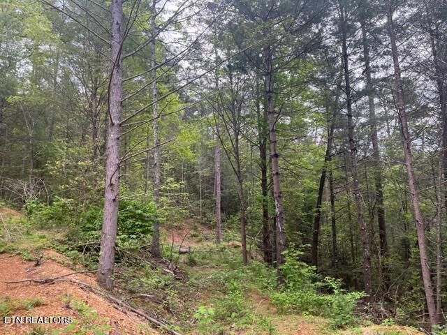 0 Bourne Way, Sevierville, TN 37876