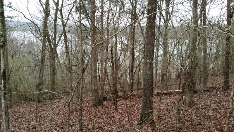 0 Bowman Bend Road Rd, Harriman, TN 37748