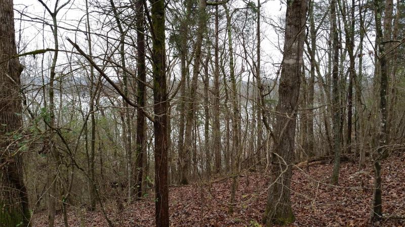 0 Bowman Bend Road Rd, Harriman, TN 37748
