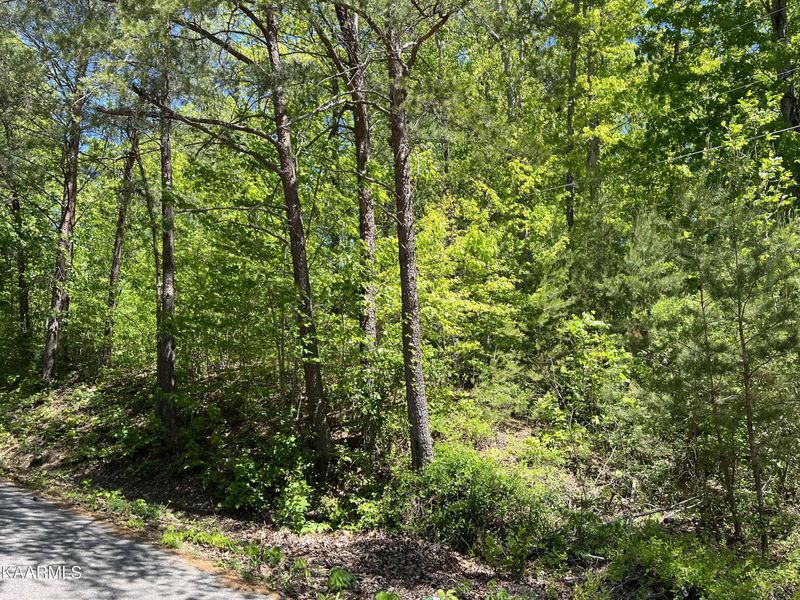 0 Bowman Dr, Jacksboro, TN 37757