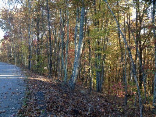 0 Bowman Hollow Rd, Powell, TN 37849