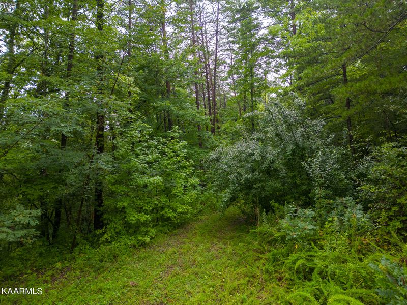 0 Boxelder St, Sevierville, TN 37876