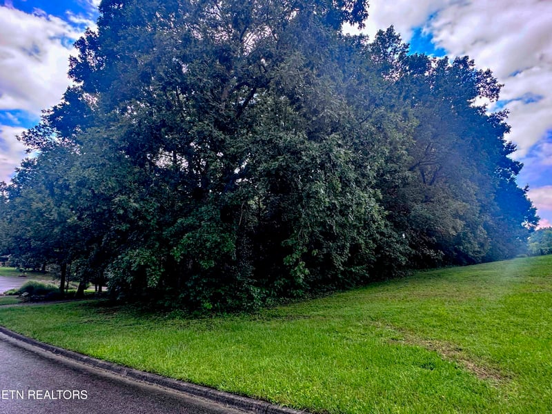 0 Boxwood Ln, Sevierville, TN 37862