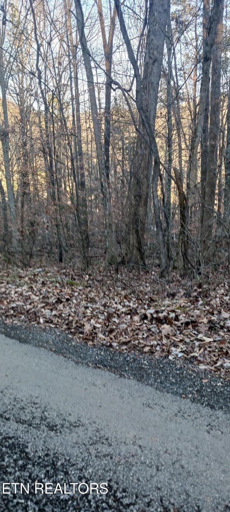 0 Braden Chapel Rd, Speedwell, TN 37870