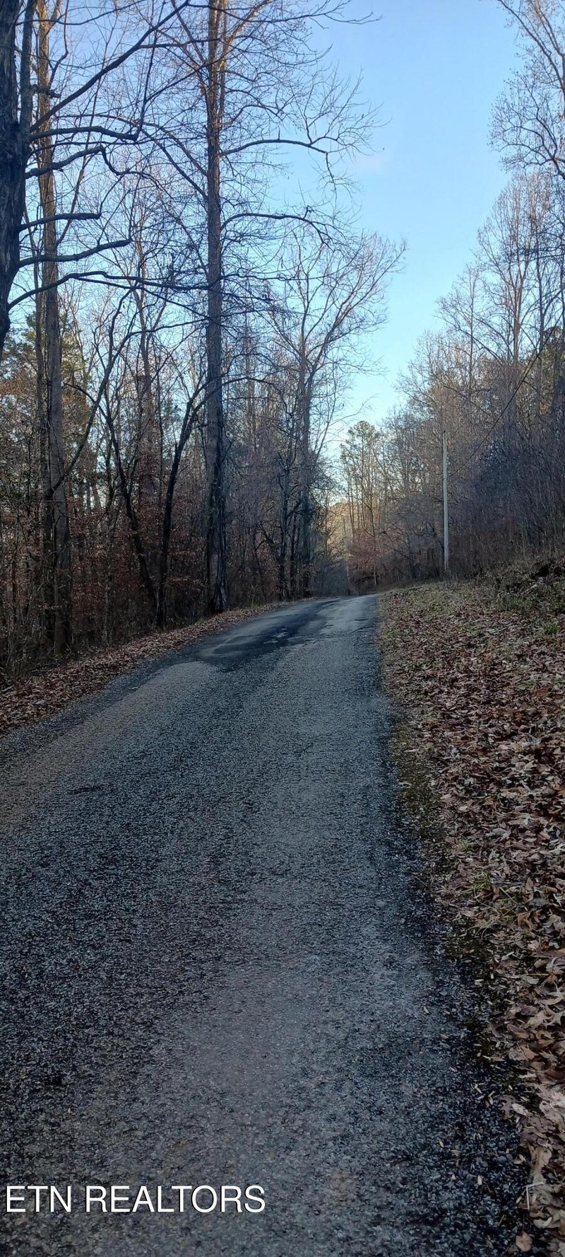 0 Braden Chapel Rd, Speedwell, TN 37870