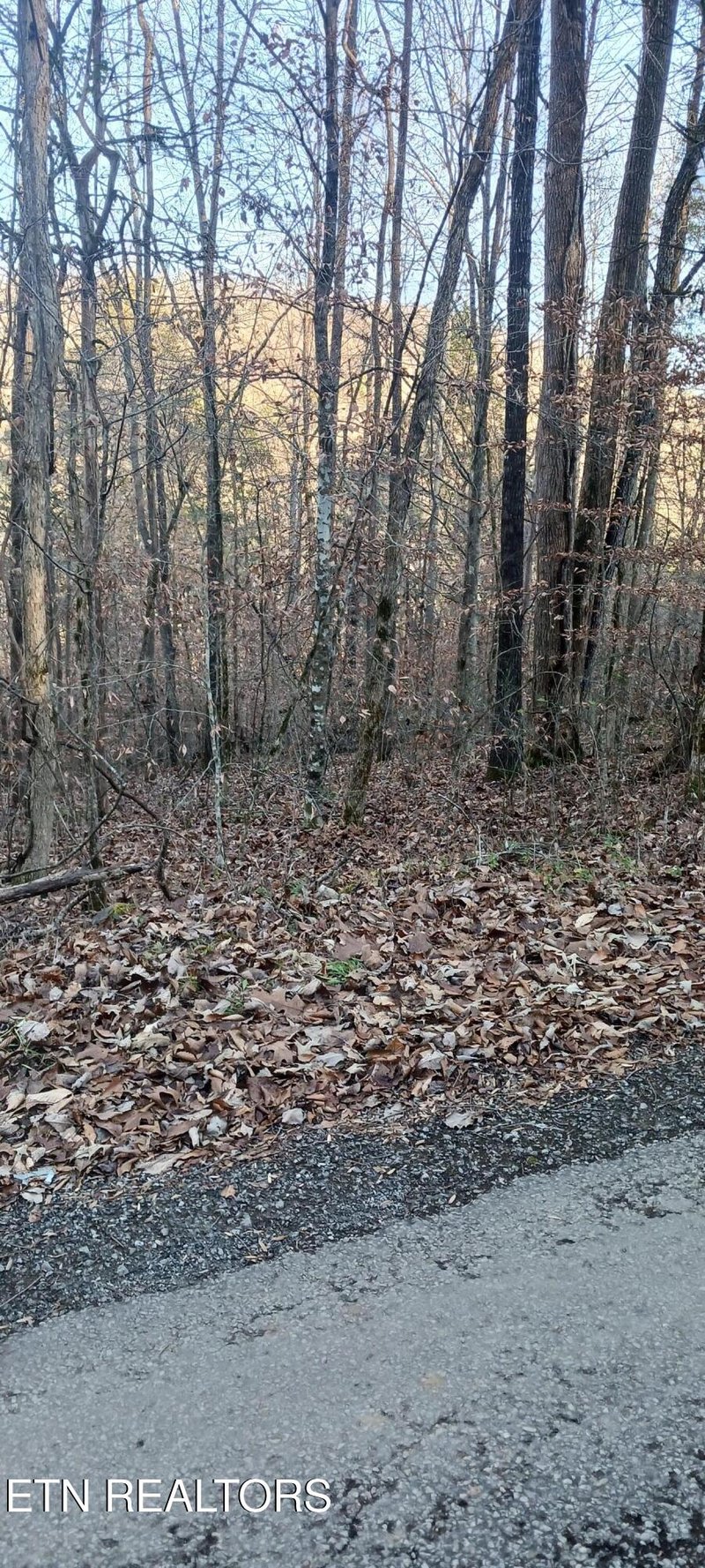 0 Braden Chapel Rd, Speedwell, TN 37870