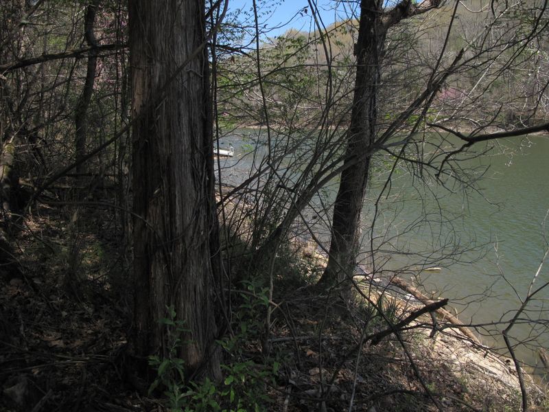 0 Braden Rd Lot 3, Speedwell, TN 37870