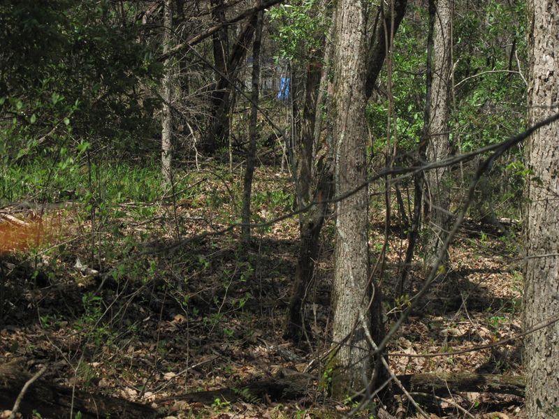 0 Braden Rd Lot 3, Speedwell, TN 37870