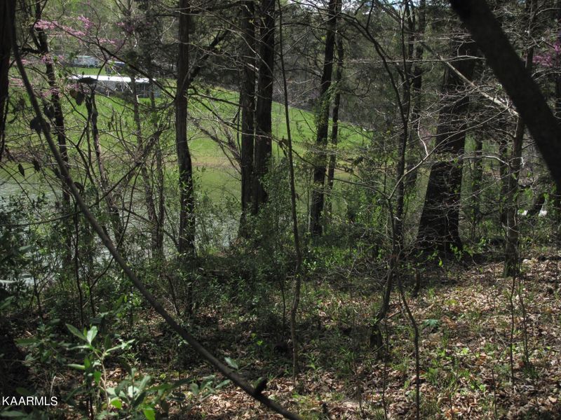 0 Braden Rd, Speedwell, TN 37870