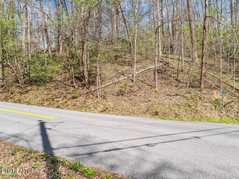 0 Bradley Rd, Sevierville, TN 37876
