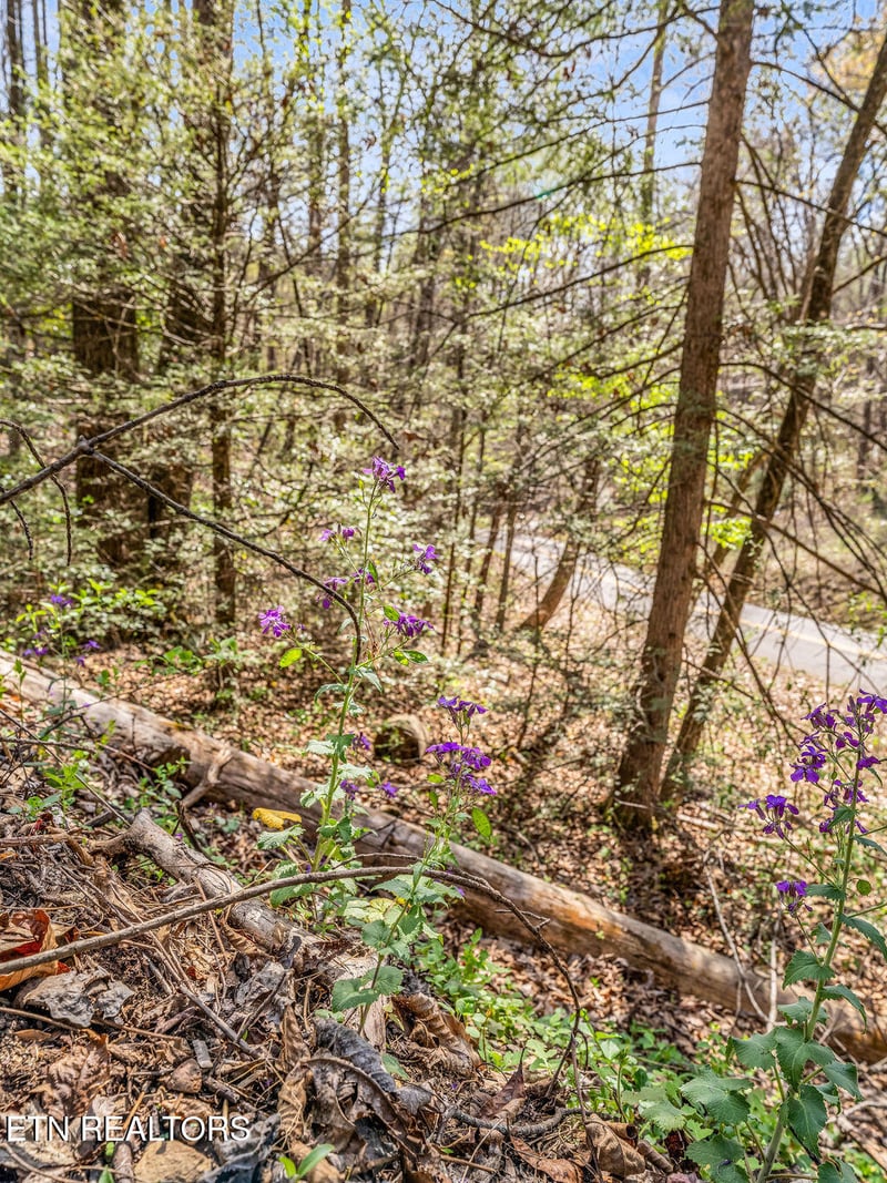 0 Bradley Rd, Sevierville, TN 37876