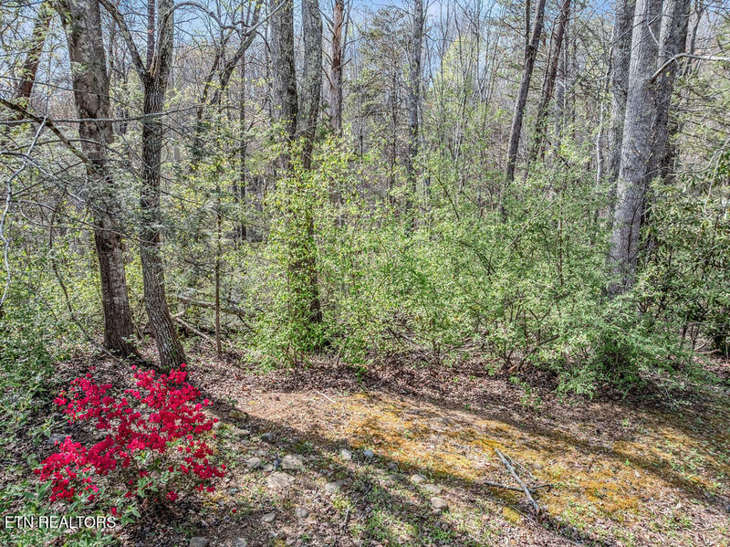 0 Bradley Rd, Sevierville, TN 37876