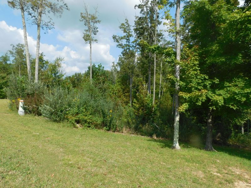 0 Brave Dr, Oneida, TN 37841