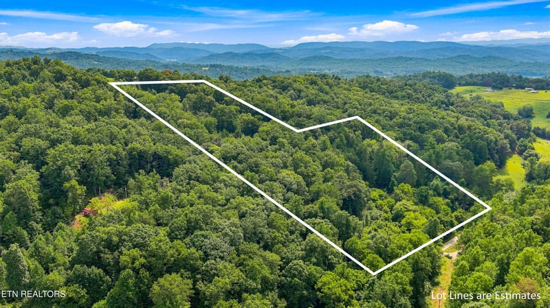 0 Brewer Hollow Rd, Sharps Chapel, TN 37866