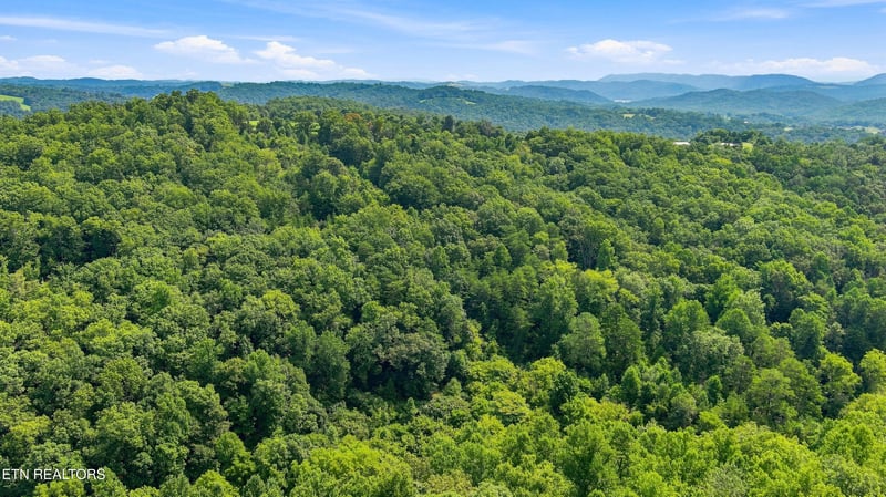 0 Brewer Hollow Rd, Sharps Chapel, TN 37866